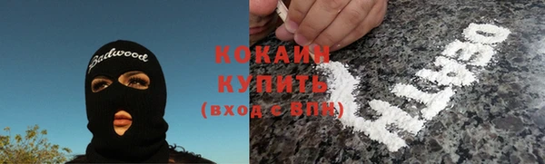 стаф Богородск