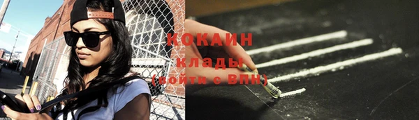 прущие грибы Богданович