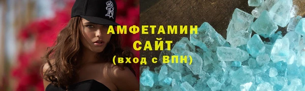 прущие грибы Богданович