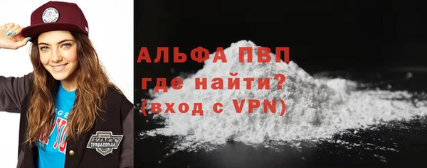прущие грибы Богданович