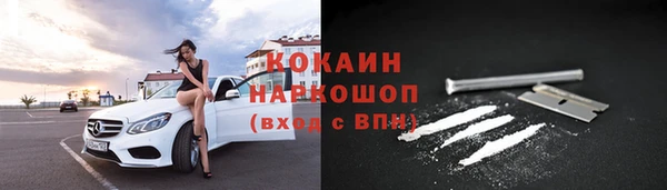 прущие грибы Богданович