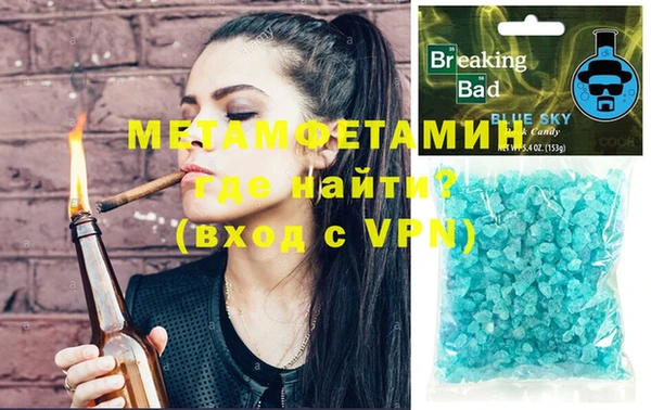 прущие грибы Богданович