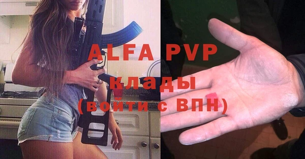 прущие грибы Богданович