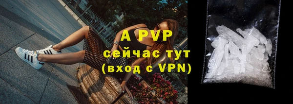 ешки Бородино
