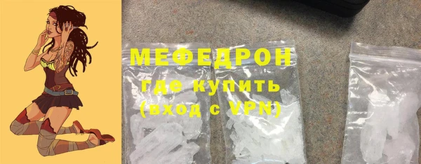 прущие грибы Богданович
