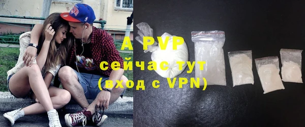 прущие грибы Богданович