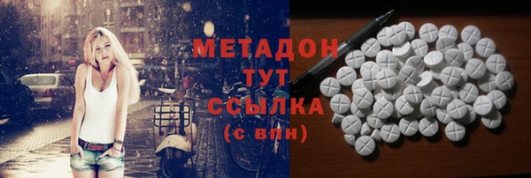 прущие грибы Богданович