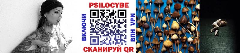 Псилоцибиновые грибы Psilocybine cubensis  дарк нет клад  Ворсма  где можно купить  